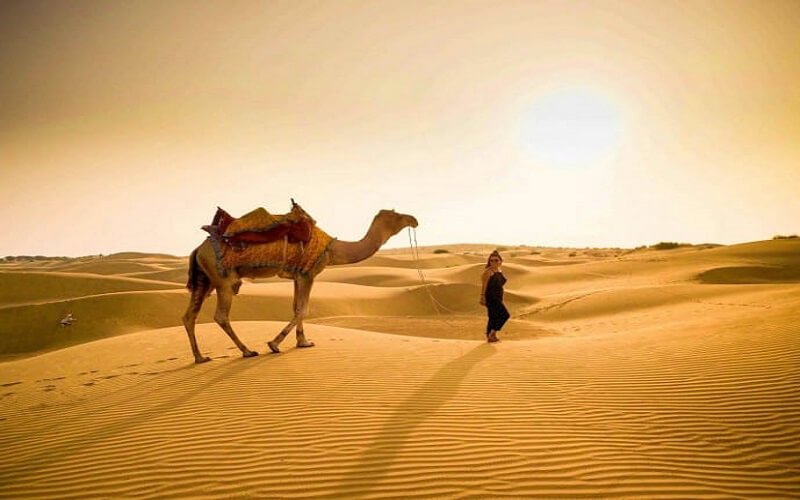 Student Group Camel Safari Package